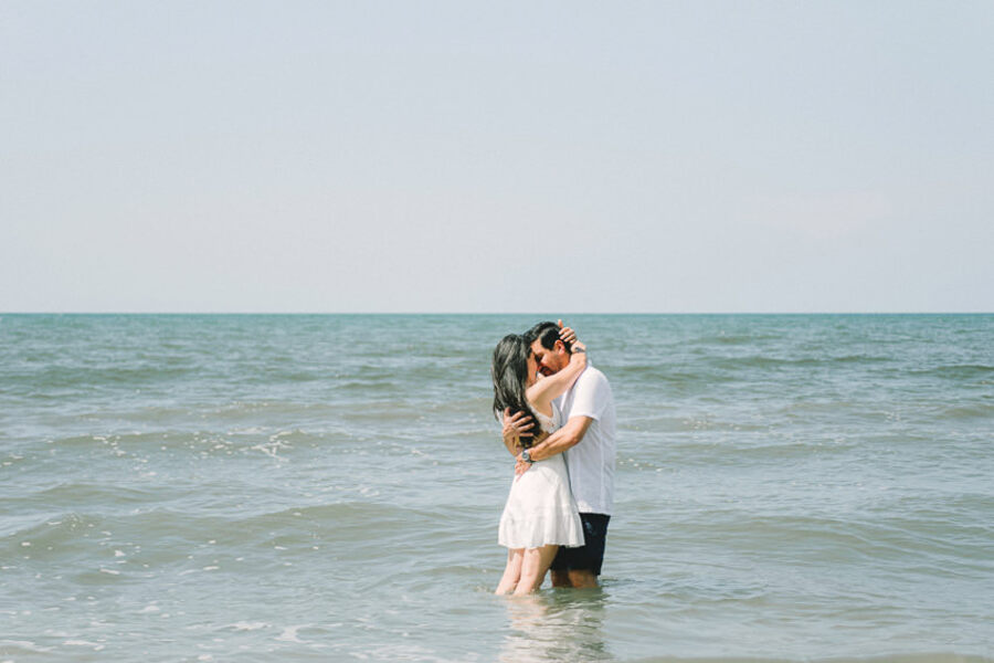 Descripción de la imagen 14